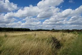 Marismas de Tottenham